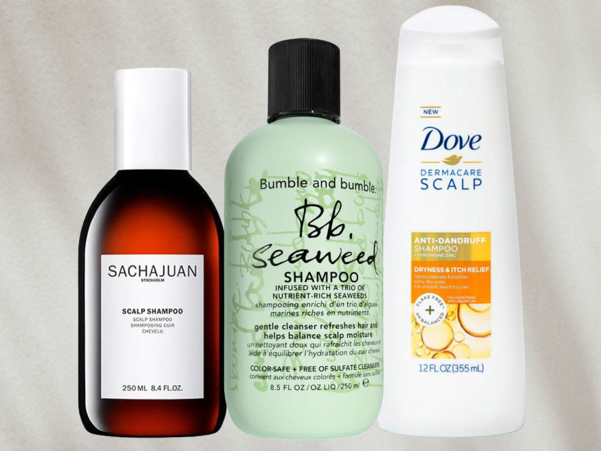 best shampoo for dry scalp